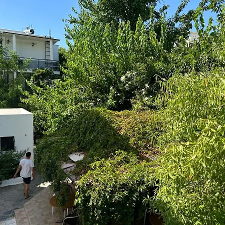 New Sedan Pansiyon イン